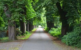 Wohnung Am Weserradweg